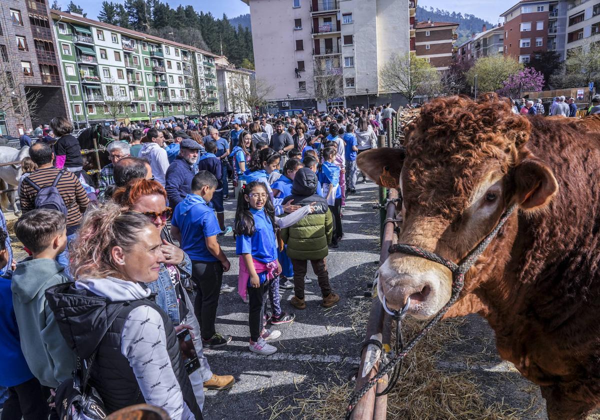 La Feria de Viernes de Dolores en Llodio, en imágenes