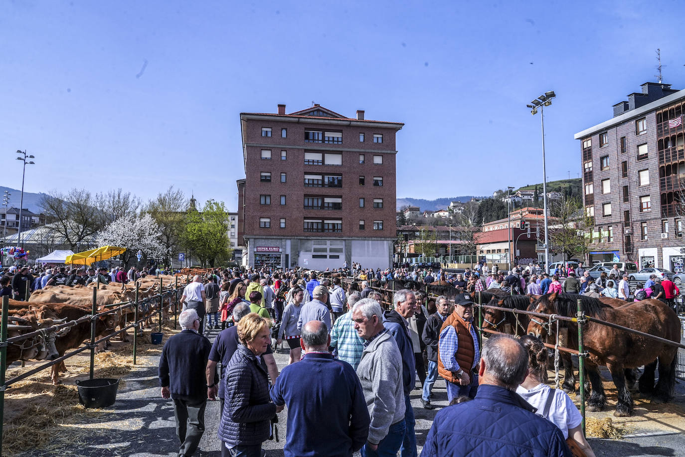 La Feria de Viernes de Dolores en Llodio, en imágenes