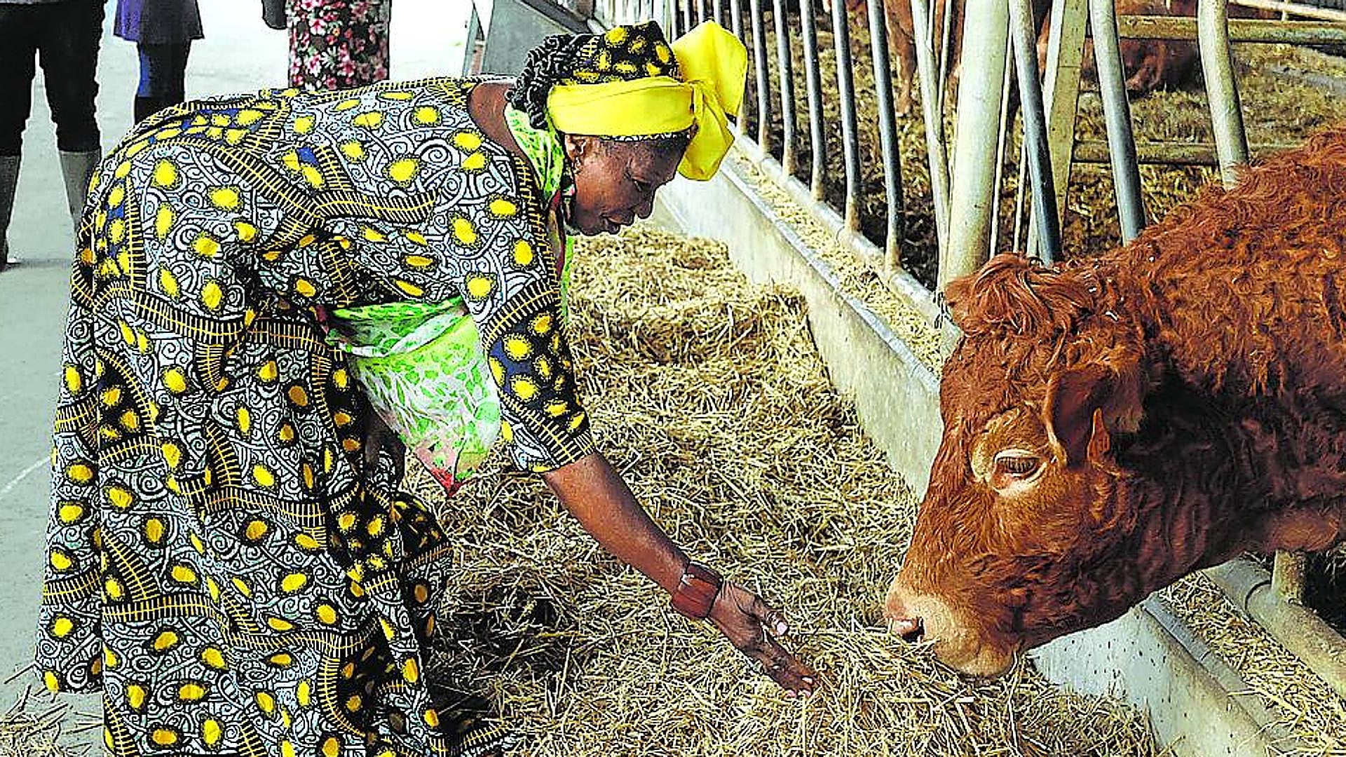 Mujeres rurales de los cinco continentes se reúnen «contra la ...