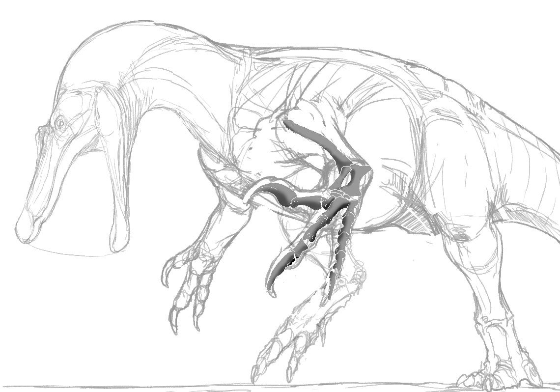 Scroll Story imagen 1