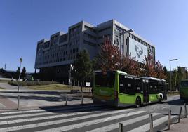 Campus de la UPV/EHU en Leioa.