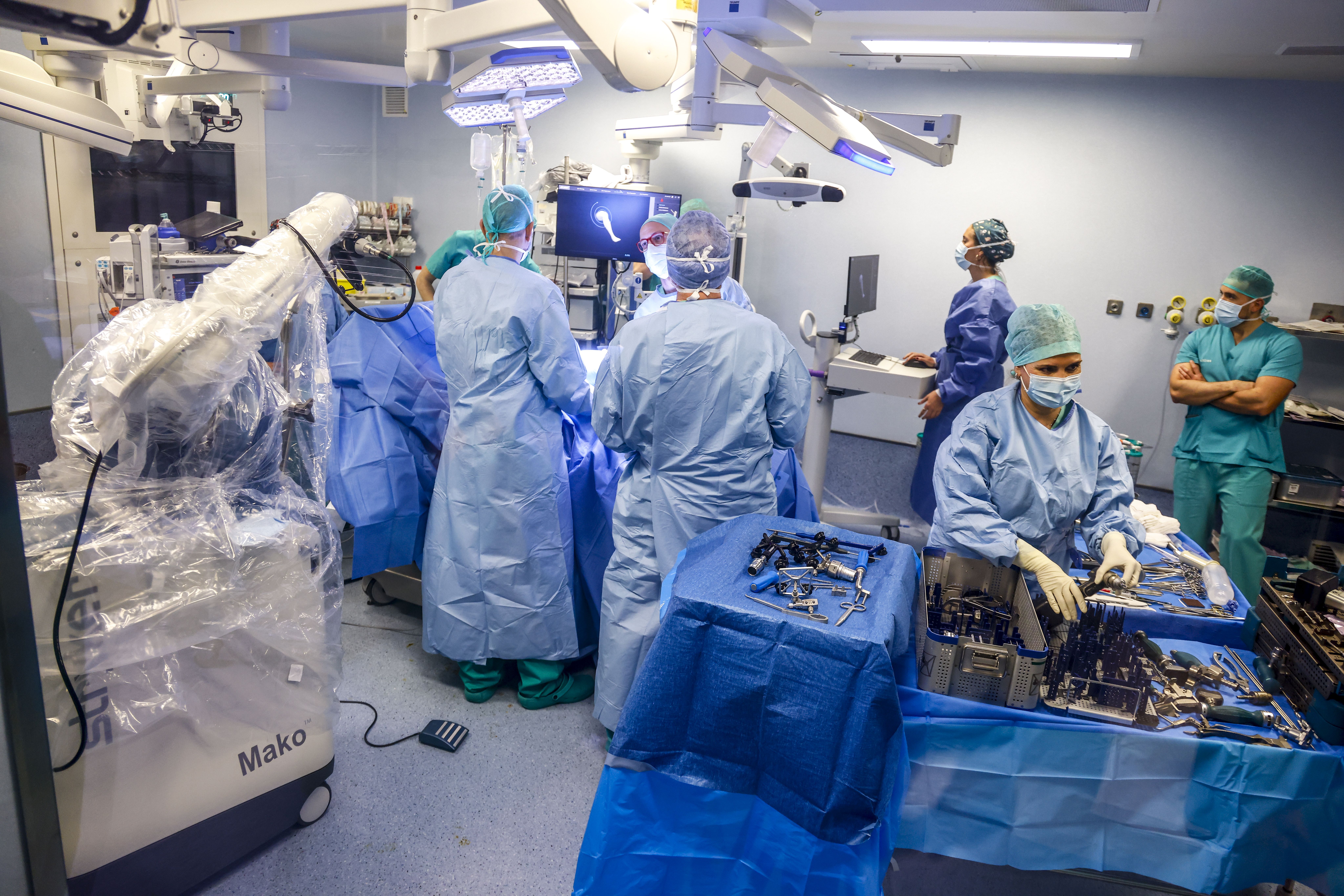 &#039;Mako&#039; el nuevo &#039;compañero&#039; de Sánchez