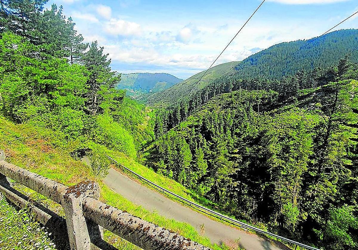 Frondosa vegetación al paso de la ruta por la ladera del Ganeko.