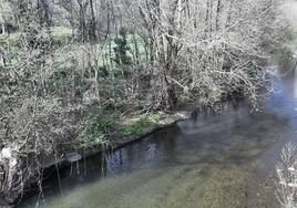 Se ha identificado un punto en el cauce del arroyo Zaldu en Abadiño.