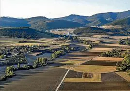 Ekologistak Martxan carga contra la «insuficiente» protección de Lakua en Montes de Vitoria