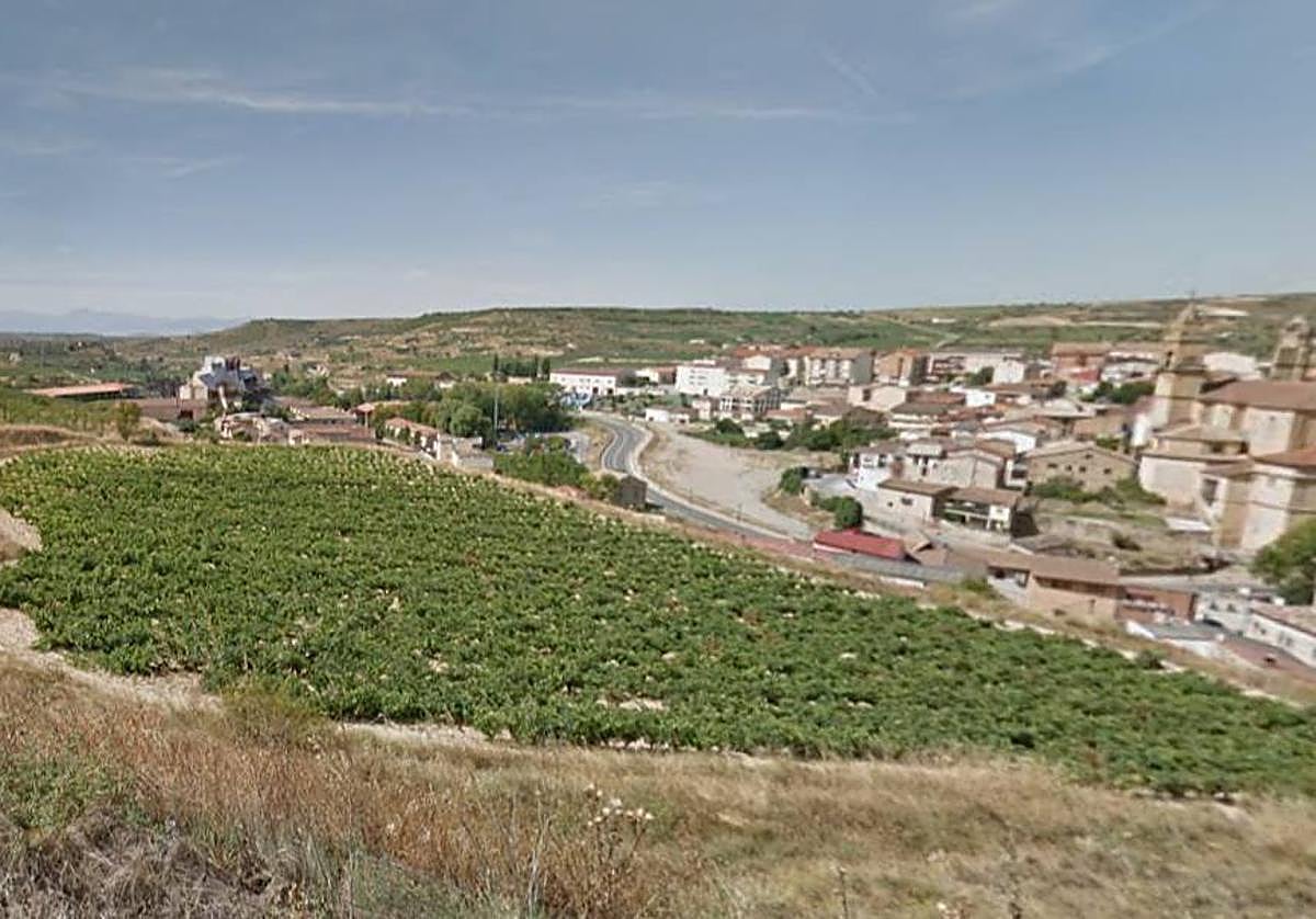 Vista parcial de la parcela en la que se van a construir las nuevas casas.