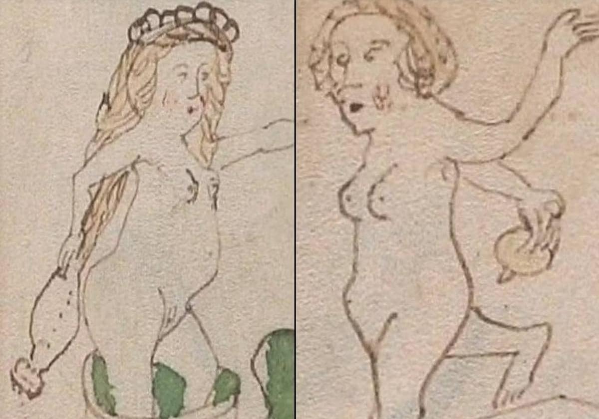 Descubre el misterio del manuscrito Voynich: manual de sexo en clave para  hombres | El Correo