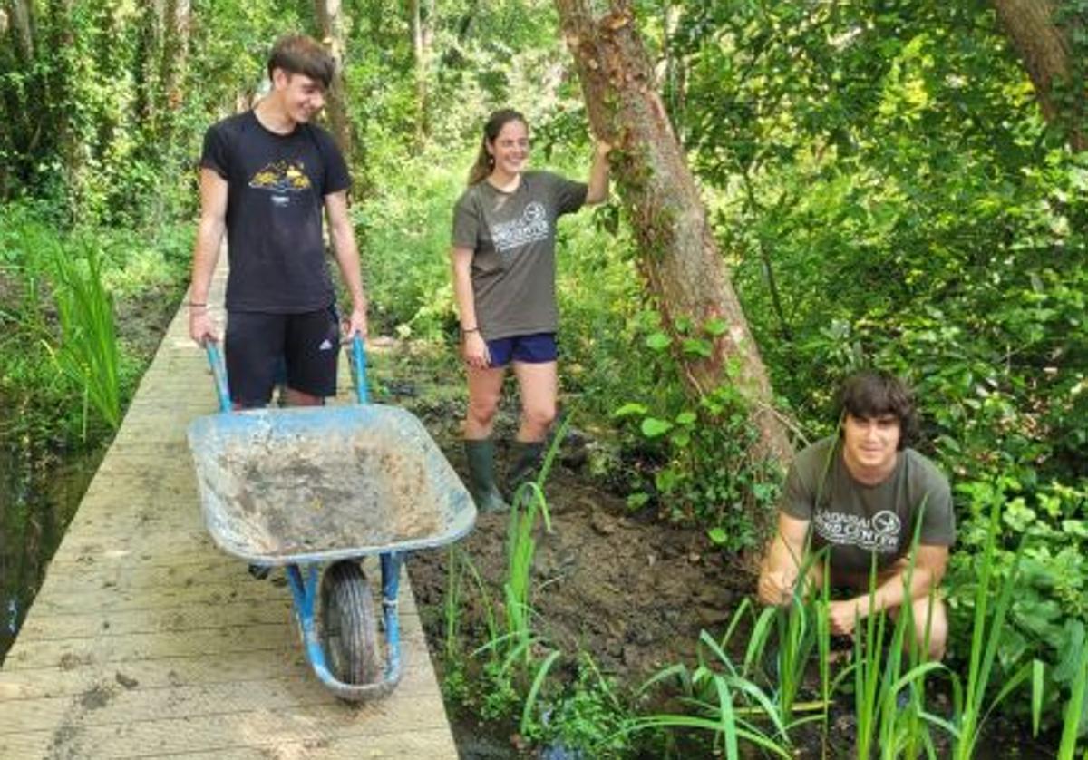 Jóvenes durante las labores de voluntariado en una campaña anterior.