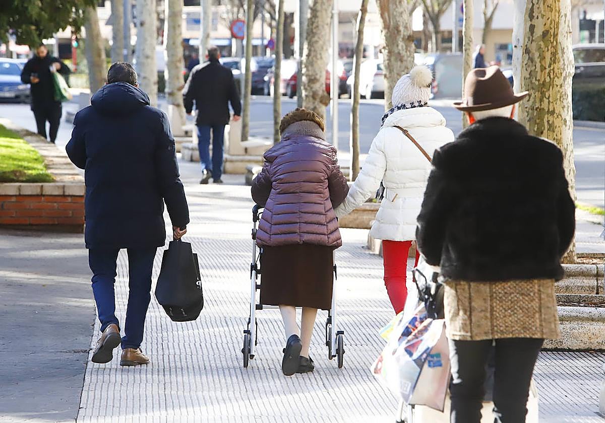 La ayuda de tres horas semanales se seguirá prestando solo en Vitoria.