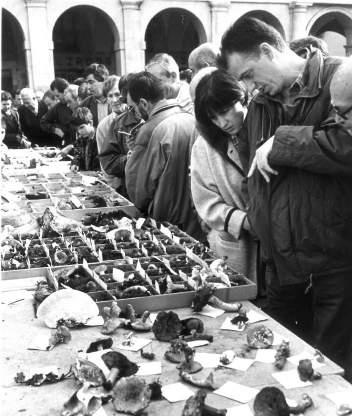 Imagen secundaria 2 - Un montañero en una cima., los dantzaris bailando por las calles del centro de Vitoria y exposición de setas y hongos en la Plaza de España. 