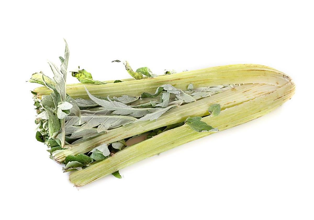 El cardo, no tan feo como lo pintan