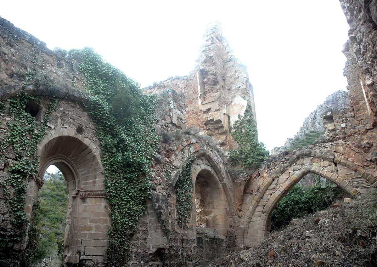 Imagen secundaria 1 - Las ruinas del Monasterio de San Prudencio y las vacas, en las inmediaciones del mismo. 