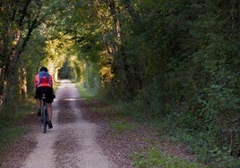 Ciclista por Vía verde del Vasco Navarro.