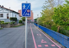 El actual bidegorri de Arrigorriaga se estrenó hace dos años.