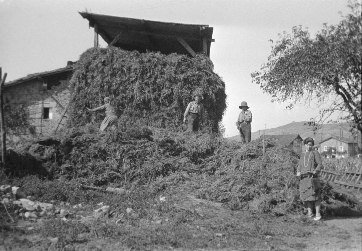 El paisaje rural y las personas predominan en la muestra del Museo de Arte e Historia.