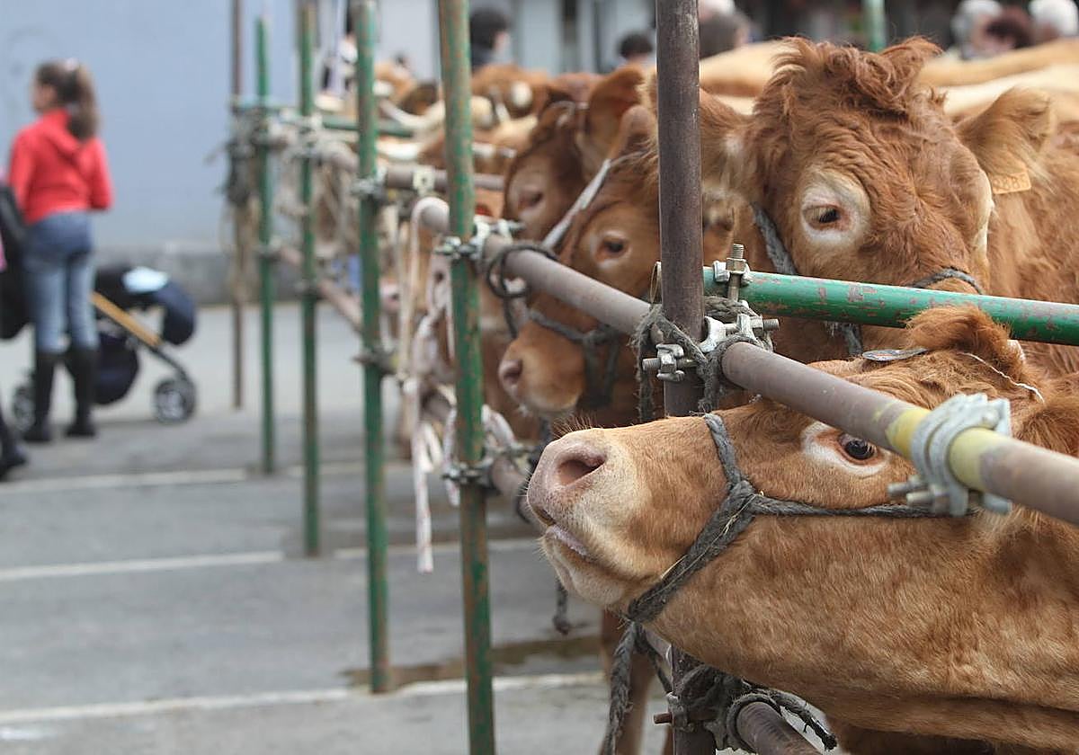La asociación organizadora del Viernes de Dolores no ha recibido aún la subVención municipal.