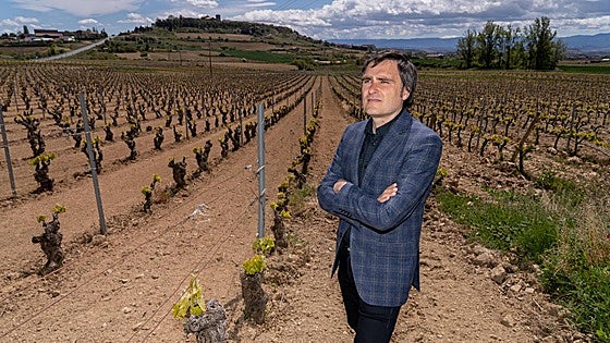 «Debemos fomentar más el enoturismo porque en general no se vende vino»