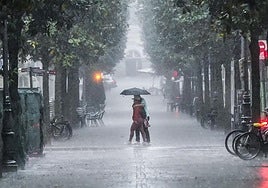 Una fuerte tormenta descargó el sábado en Vitoria.