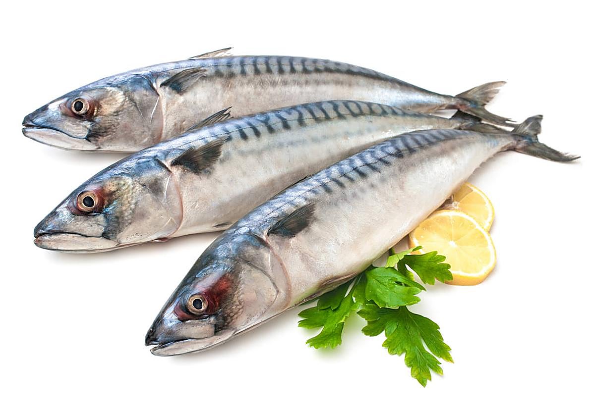 Un pescado muy barato, con grasa de la buena y que cuida tu corazón
