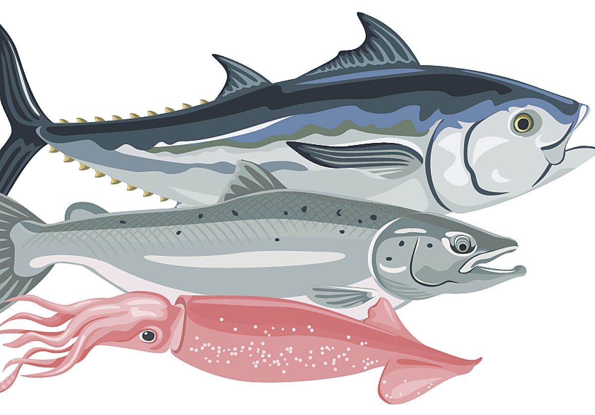 Alerta sanitaria «grave» por anisakis: cómo evitar que se cuele en su plato