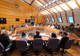 La pasada comisión en las Juntas Generales en la que se debatió por primera vez sobre las inundaciones de Erandio con la presencia de los afectados.