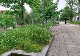 Un parque de Neguri afectado por la huelga de trabajadores de la subcontrata de jardinería del Ayuntamiento de Getxo.