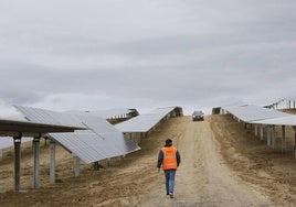 Los concejos son críticos con los proyectos de energía fotovoltaica alaveses.