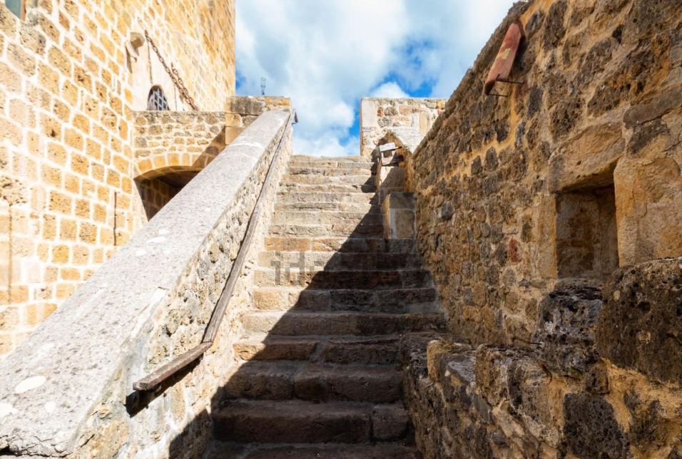 Las fotos del lujoso castillo que se vende en el Valle de Mena