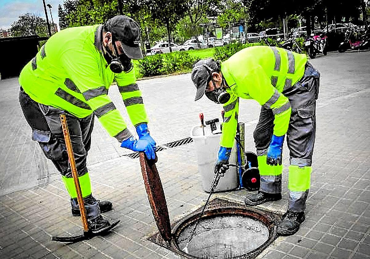 Dos operarios fumigan una alcantarilla para controlar la proliferación de cucarachas.