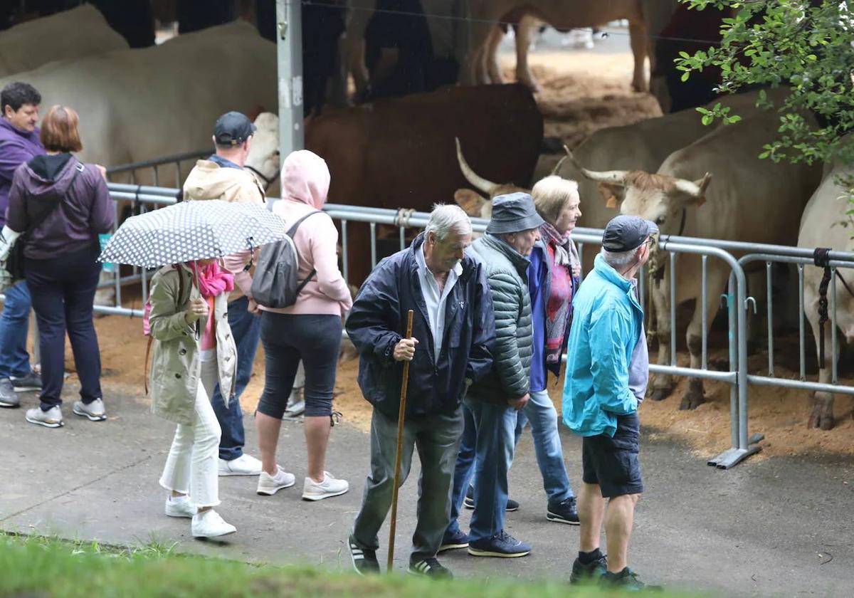 La feria acogerá a multitud de visitantes en Urkiola, que visitarán los diferentes puestos de ganado y artesanales.