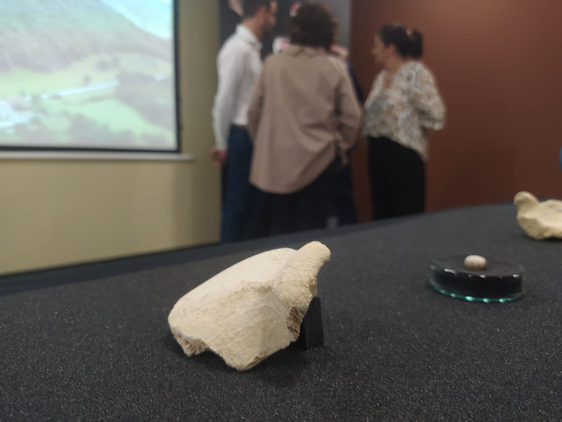 En primer término, el fragmento de cráneo con el característico arco superciliar de los neandertales.
