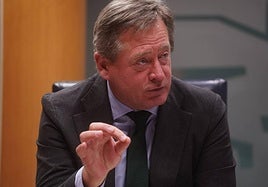 Bingen Zupiria Kultura eta Hizkuntza Politikako sailburua.