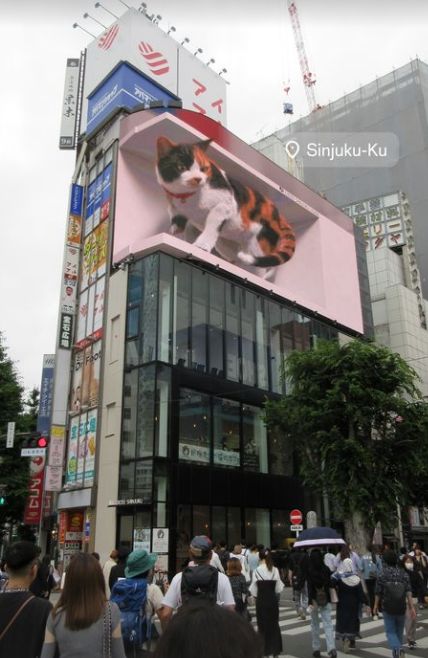 Imagen secundaria 1 - Tokio, Kioto, playas de ensueño... Las mejores fotos de la luna de miel de Iñaki Williams y Patricia Morales en Japón