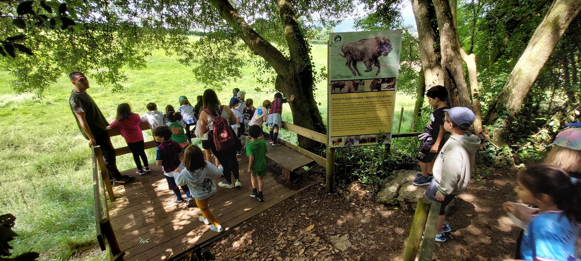 El refugio de animales de Kortezubi recibe a miles de escolares y familias en sus 60.000 metros cuadrados de terreno.