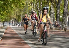 La bicicleta facilita la movilidad con una huella de carbono muy inferior a la de los vehículos motorizados.