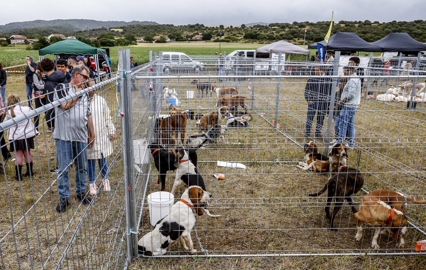 Fiesta de los cazadores vascos en Foronda