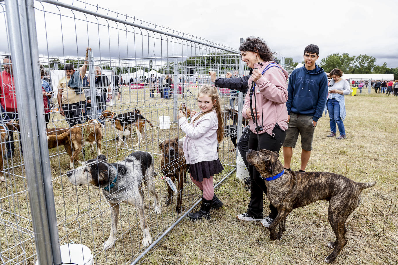 Fiesta de los cazadores vascos en Foronda