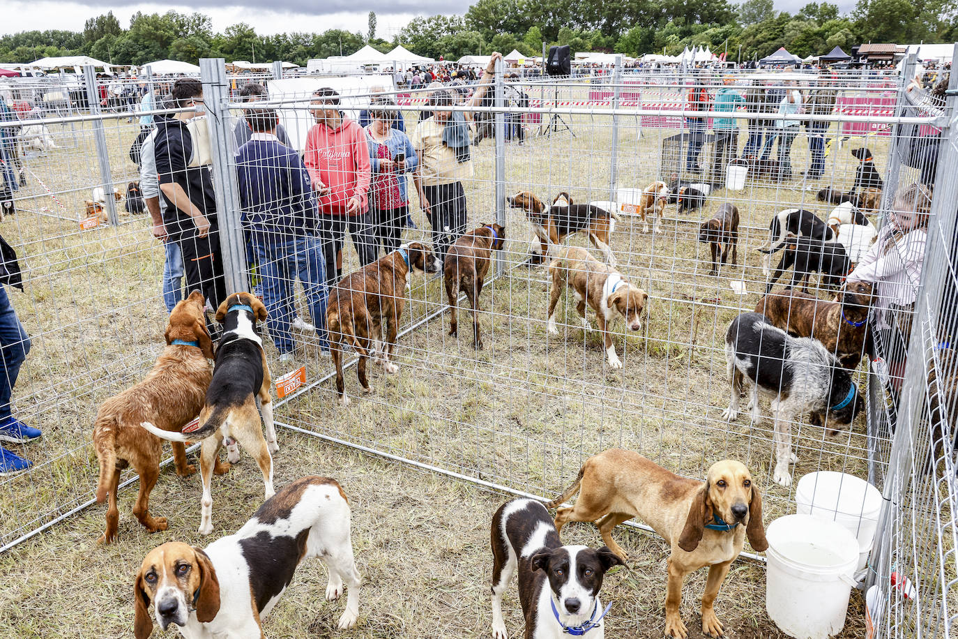 Fiesta de los cazadores vascos en Foronda