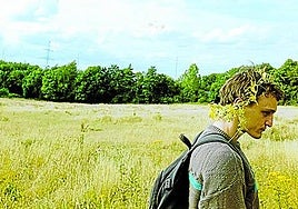 Crítica de 'Bird' (2024): Vuelta al barrio