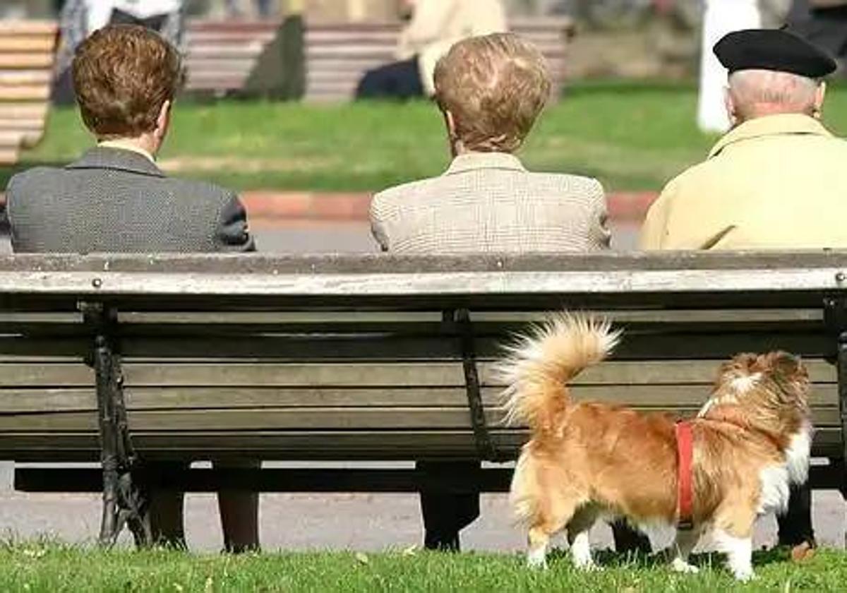 Tres señores toman el sol en un parque de Bilbao.