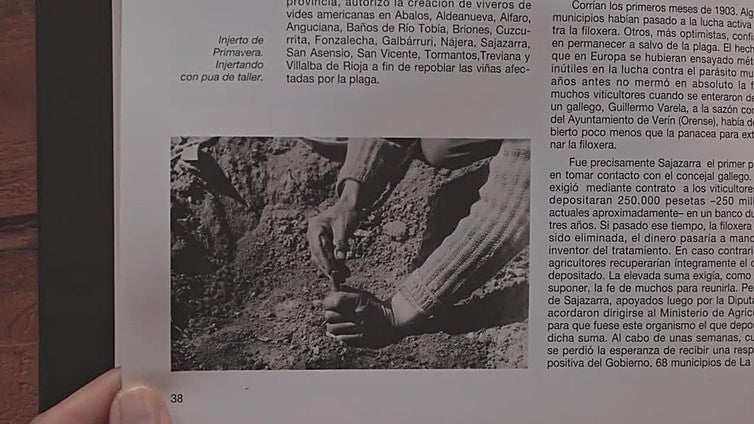 VINO Y BODEGAS