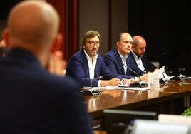 Iñaki Oyarzabal (PP) durante su intervención este lunes en las Juntas Generales.