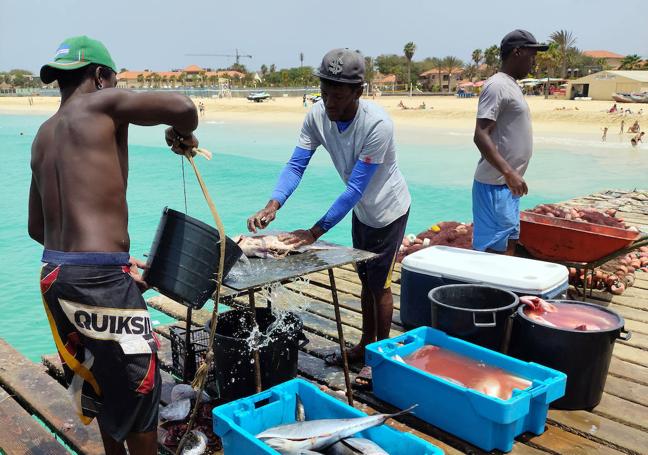 El puerto de Santa María se anima por la mañana con la venta de pescado.