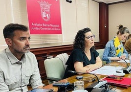 Loli García, líder autonómica de CC OO, durante su comparecencia en las Juntas Generales de Álava.