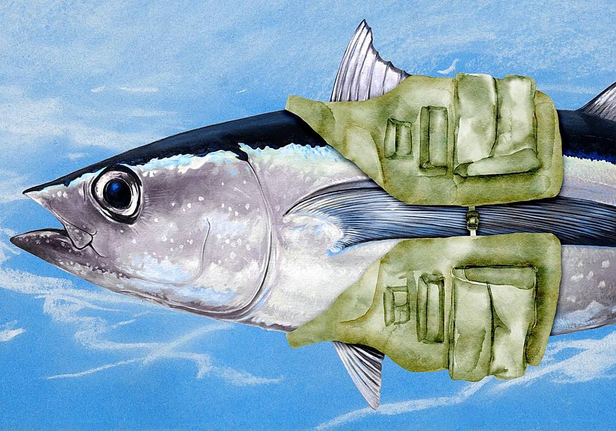 La Ijada o ventresca es la parte más rica y jugosa del bonito. ¿Cuál es la mejor forma de cocinarla?