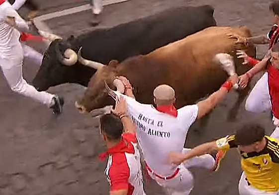 Uno de los toros de Domingo Hernández engancha de la camiseta al corredor albaceteño Alejandro Verdejo.