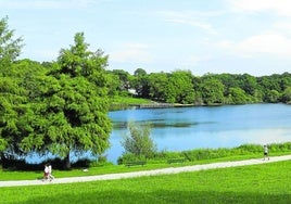 El lago Marion, rodeado de vegetación exótica, nutre con el excedente de sus aguas al Mouriscot.