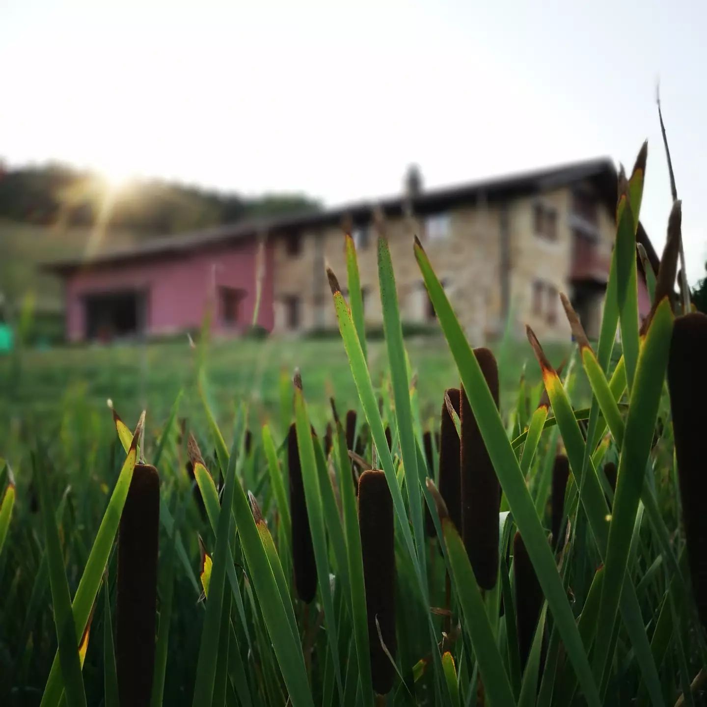 La Casa de Marina: un oasis para meditar y huir del ruido a media hora de Bilbao
