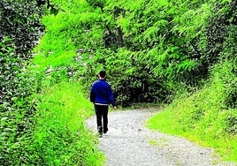 La zona boscosa donde se han detectado los campamentos ilegales se ubica en la muga entre Berango y Getxo.