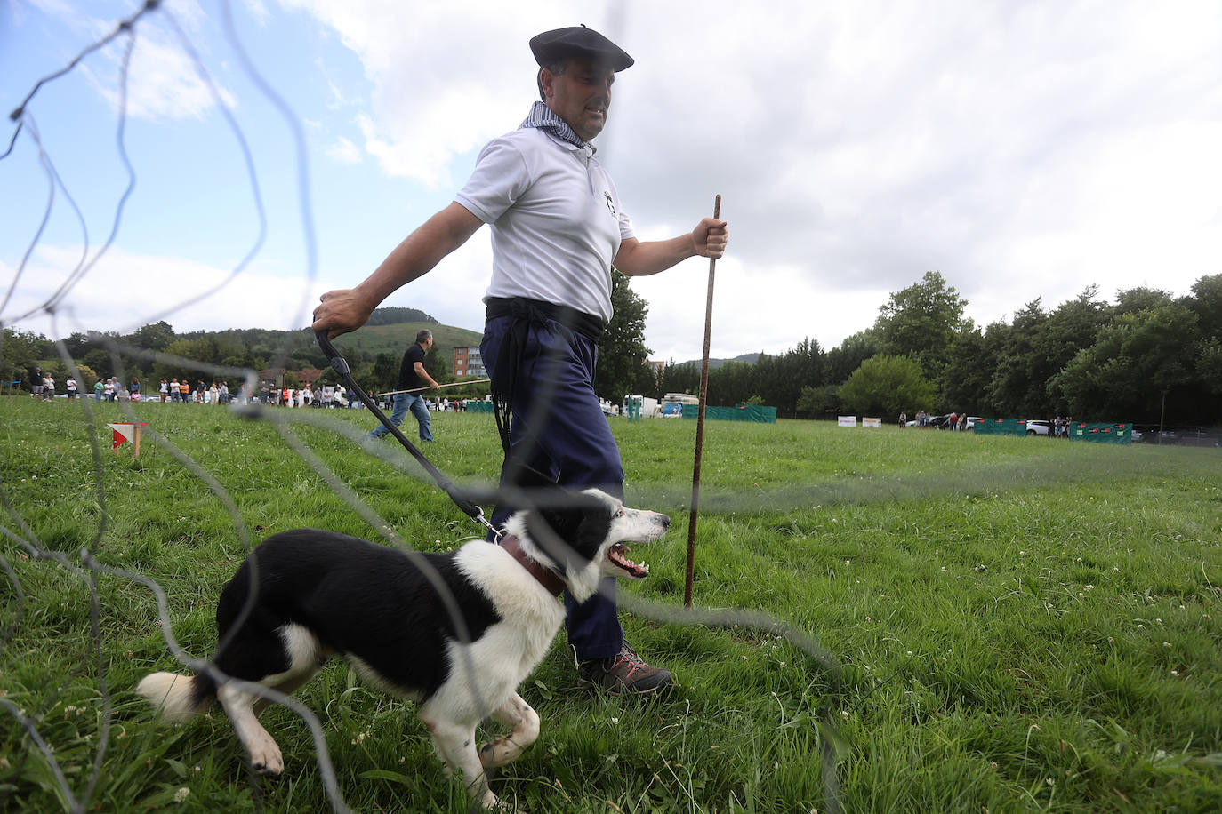 Las mejores imágenes del campeonato de perros pastor de Euskal Herria